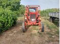 BELARUS MTZ-50