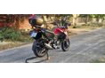 BENELLI TRK 251 2019/7 - 3