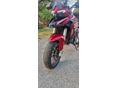 BENELLI TRK 251 2019/7 - 6