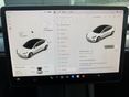 TESLA MODEL 3 2021 - 12