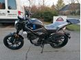 CFMOTO 300 CL-X 2023/11 - 7