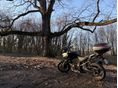 SUZUKI DL 1000 2015/6 - 8