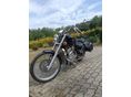 SUZUKI VS 800 (INTRUDER) 