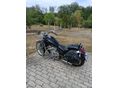 SUZUKI VS 800 (INTRUDER) 1995/12 - 2