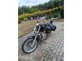 SUZUKI VS 800 (INTRUDER) 1995/12 - 3