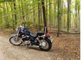 SUZUKI VS 800 (INTRUDER) 2000/8 - 11