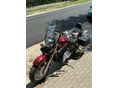 HONDA VT 1100 C2 2001/12 - 5