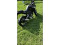 BENELLI TRK 251 2021 - 3