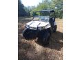 POLARIS RZR 170 