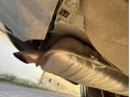 BMW 320 2004/4 - 10