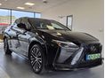 LEXUS RZ 300e Luxury MO-i! 1.TUL! 16.360 KM!