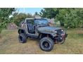 JEEP WRANGLER 1991/5 - 3
