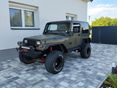 JEEP WRANGLER 1991/5 - 11