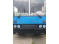 IKARUS 256