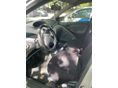 TOYOTA YARIS 2002 - 9