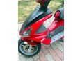 BENELLI 491 2003/6 - 8