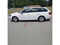 SKODA OCTAVIA 2019/5 - 10