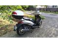 PIAGGIO BEVERLY 500 2003/7 - 7