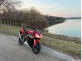 YAMAHA YZF R1 2003/6 - 2