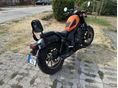 HONDA CMX 500 REBEL 2025/3 - 2