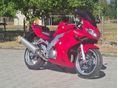 SUZUKI SV 1000 S 