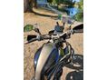 ZONTES T1 310 2022/12 - 4