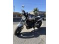 HONDA CBF 600 2005/3 - 2