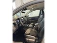 NISSAN QASHQAI 2026/9 - 5