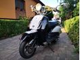 ZNEN EGYÉB Aurora 1