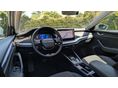 SKODA OCTAVIA 2025 - 6
