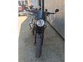 TRIUMPH SPEED TWIN 2024/11 - 3