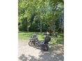 TRIUMPH SPEED TWIN 2024/11 - 7