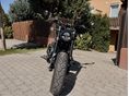 BENDA CHINCILLA 500 2024/10 - 3