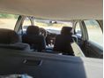 VOLKSWAGEN PASSAT V 2003 - 5