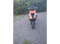 APRILIA SR 50 2010/1 - 2