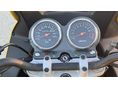 SUZUKI GS 500 F 2005/5 - 8