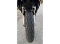SUZUKI GS 500 F 2005/5 - 9