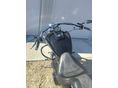 HARLEY-DAVIDSON SOFTAIL 2002 - 8