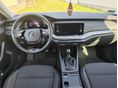 SKODA OCTAVIA 2020 - 9