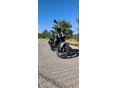 BENELLI BN 125 2026/1 - 2