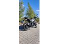BENELLI BN 125 2026/1 - 3