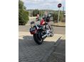 HARLEY-DAVIDSON SPORTSTER 2004/1 - 9