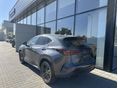 LEXUS NX 2026 - 2