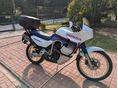 HONDA XL 600 V 1988 - 2