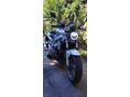 SUZUKI SV 1000 N 