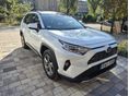 TOYOTA RAV 4 2019/11 - 2