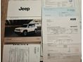 JEEP RENEGADE 2017/10 - 12