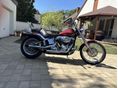 HARLEY-DAVIDSON SOFTAIL Custom