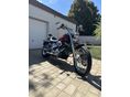 HARLEY-DAVIDSON SOFTAIL 2008/1 - 2
