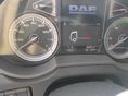 DAF 2019/9 - 7